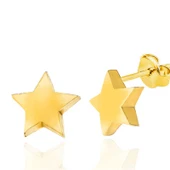 Gümüş Gold Yıldız Çivili Kadın Küpe thumbnail 4