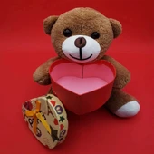 Kutulu Kahverengi Ayıcık - 2