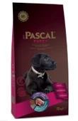 Pascal Puppy Kuzu Etli Pirinçli Yavru Köpek Maması 15 Kg - 1