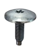 Torx Cıvatası M6X20X19Mm Peugeot 742723 Citroen 7703008162 Renault (10 ADET) 15042 MARKA İLE UYUMLU thumbnail 2