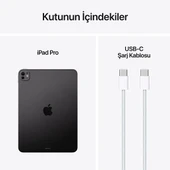 iPad Pro 7. Nesil Wi-Fi + Cellular Nano Texture Cam 1 TB 11" MWRP3TU/A Uzay Siyahı Tablet - 3