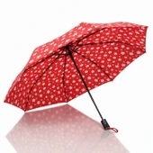 CCL Full Otomatik Kısa 8 Telli Pongee Kumaş Şemsiye Desenli (119G-2) Çiçekli GKH thumbnail 1