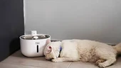 fakir PetPard Ultra Sessiz Akıllı Kedi & Köpek Su Pınarı thumbnail 3