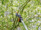 FISKARS UPX82 Yüksek Dal Budama Makası (1023625) thumbnail 2