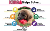 Kong Classic Large 10cm - 1