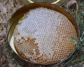 Şehri Şemdinli Doğal Karakovan Balı 1 kg - 2