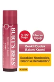 Burt's Bees Renkli Dudak Bakım Kremi Mercan Çiçeği - Tinted Lip Balm Daisy 4,25 Gr thumbnail 1