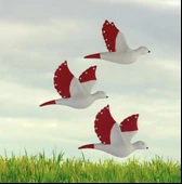 Dekoratif Üçlü Kumru Kuş Duvar Dekoru Süs kırmızı renk - 4