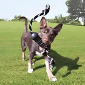 Kong Extreme Dental Diş Temizliği için İp Sallantılı Ultra Sert Köpek Oyuncağı M - 3