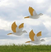 Dekoratif Üçlü Kumru Kuş Duvar Dekoru Süs sarı renk - 4