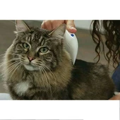 Kedi Köpek Pire Temizleyici Pire Tarağı Flea Doctor - 2