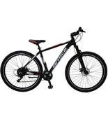 ARNİCA X-VERT 9 29 JANT 21 VİTES DAĞ BİSİKLETİ - 2