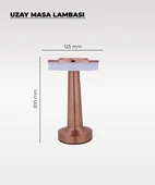 Rose Uzay Masa Lambası - Dokunmatik - 3 Renk Işık thumbnail 2