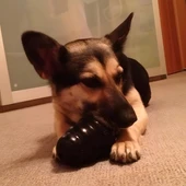 Kong Extreme Köpekler İçin Çok Amaçlı Isırma Oyuncağı Ultra Sert XXL - 8