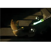 M-Pets Flash Ledli Band Turuncu - 6