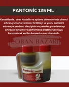 Royal Pantonic 125 Ml Kanatlılar Için Multivitami thumbnail 1
