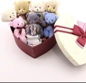 Sevgiliye En Tatlı Hediye Seti Peluş Ayıcık Kalpli Kutuda 7 Mini Peluş Ayıcık Işıklı Kar Küresi Seti - 4
