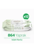 Giggles Yeşilçay Kokulu Islak Mendil - Islak Havlu 864 Mendil - 1