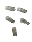 5 Adet 12v 5w Dipsiz Gösterge Ampulu thumbnail 1