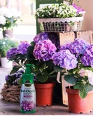 Petrotürk bol çiçekli sıvı bitki besini thumbnail 5