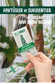 Florist kaktüs ve sukulentler besini thumbnail 2