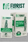 Florist kaktüs ve sukulentler besini thumbnail 1