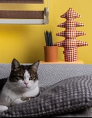 Kayigo Lavender Kalemlik & Notluk - Kırmızı Pötikareli Çam thumbnail 3