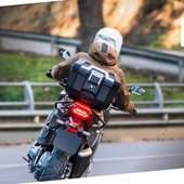 Shad TR41 Terra Siyah Motosiklet Arka Çanta - 3