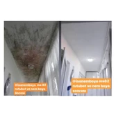 ISONEM MS82 Rutubetli Yüzey ve Nem Boyası 1 Kg thumbnail 4