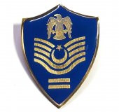 Minyatür Rütbe Kıdemli Başçavuş Hava Kuvvetleri Sağlık Sınıfı - 1