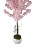 Yapay Ağaç Japon Kiraz Çiçeği Bahardalı Ağacı Beyaz Küre Saksıda Pembe Koyu Renkli 160cm thumbnail 5