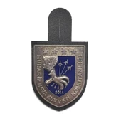 MSB-MSÜ-TSK-JANDARMA-GENKUR-HVKK  Ceket Bröve thumbnail 8