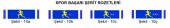 Spor Başarı Şerit Rozeti - 2