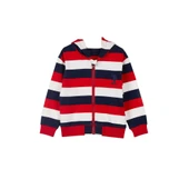 Lisanslı Striped Erkek Bebek Kapüşonlu Hırka - 12