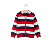 Lisanslı Striped Erkek Bebek Kapüşonlu Hırka - 13