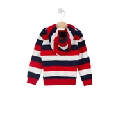 Lisanslı Striped Erkek Bebek Kapüşonlu Hırka - 7