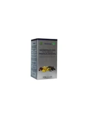 Avicenna Keçiboynuzu Özü ile Tatlandırılmış Propolis Zencefil 300 gr - 1