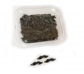 Pilastik Bıyık 50 Adetli - 1