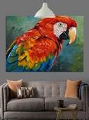 Canlı Renkli Papağan Kuşu Dekoratif Kanvas - Mdf Ahşap Tablo - 3