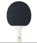Stiga Bat Evolve-1 Star Masa Tenis Raketi 1211-8318-01 - 3
