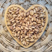 Toptan Lüks Antep Fıstığı 10Kg - 2