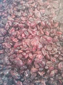 Toptan Turna Yemişi Kurusu(Yaban Mersini) Goji Berry 11,34 Kg - 5
