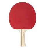 Stiga Bat Evolve-1 Star Masa Tenis Raketi 1211-8318-01 - 4