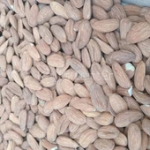 Toptan Yerli Feragnes Badem İçi 25 Kg - 3