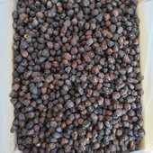 Toptan Doğal Kiraz Kurusu 10 Kg - 3