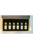 DR MESOMASTER Somon Dna, Vitamin C, Hyaluronic Asid, Hair and Brow, Anti Acne, Lifting Complex Serum Set thumbnail 1