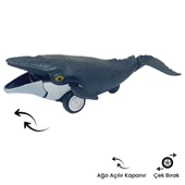 Sürtmeli Hayvanlar 2'li - Yunus Balığı Ve Balina - 2