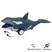 Sürtmeli Hayvanlar Serisi - H-53 - Orka Balina thumbnail 1