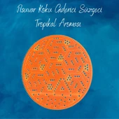 Carpex Pisuvar Koku Giderici Süzgeci - Tropikal thumbnail 1