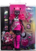 Monster High Acayip Havalı Arkadaşlar Catty Noir HXH76 - 5
